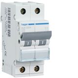 Int.aut.serie Hager M145119 magneettico 2-polig grijs 20 A