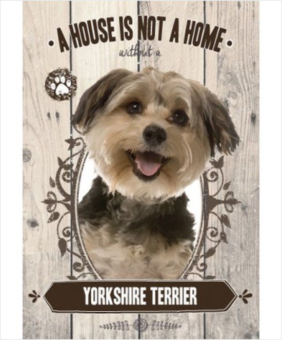 global journey Wandbord - Yorkshire terrier - 14x20 cm - metaal - multi