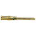 Harting 09150006124 - Contact Harting D contact à sertir (M) 0,14 mm² - 0,37 mm² AWG26 - AWG22 or - 1 pièce