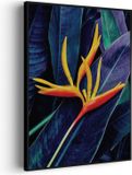 OEM Akoestisch Schilderij Heliconia bloem op donkere achtergrond Rechthoek Verticaal Pro L (72X100)