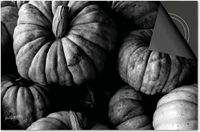 Dietrix Inductie beschermer - 59x52 cm - Herfst - Kalebassen zwart wit