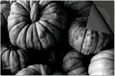 Dietrix Inductie beschermer - 59x52 cm - Herfst - Kalebassen zwart wit
