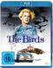 Plaion Die Vögel Blu-ray