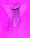 Komar Muurafbeelding | Jellyfish Pink | Poster, Afbeelding, Woonkamer, Slaapkamer, Decoratie, Kunstdruk | Zonder lijst | P078C-40x50 | Grootte: 40 x 50 cm