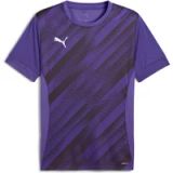 Puma Jersey teamGoal Graphic