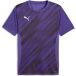Puma Jersey teamGoal Graphic