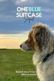 One Blue Suitcase Sequel