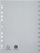 Exacompta Plastic Index Tabs, January-December, A4, 12-Piece, Grey