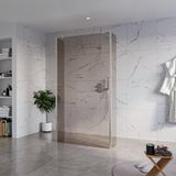 FortiFura Galeria Vrijstaande Inloopdouche - 110x200cm - Rookglas - Antikalk - 8mm Veiligheidsglas - 2 Zijwanden - Geborsteld RVS