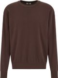 WE Fashion Heren loose fit trui donkerbruin