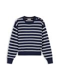 Tommy Hilfiger Pull bleu / blanc