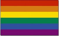 Merkloos / Sans marque Promex Gmbh Regenboog kleuren vlag - 5x - 90 x 150 cm - polyester - met ringen
