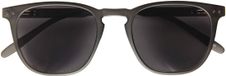 I Need You - The Frame Company INY Zonneleesbril Playa Anthra +2.00