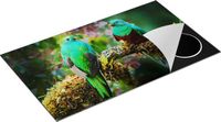 Chefcare Inductie Beschermer Twee Groene Quetzal Vogels - 89,6x51,6 cm