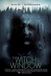 Just Entertainment The Witch In The Window (DVD)