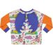 Raspberry Republic Dino Riders Rainbow T-shirt manches longues avec ailes de ptérosaure enfant