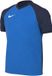 Nike T-shirt Kinderen Dri-FIT Trophy VI Blauw - Maat S