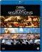 Megamoviestore National Geographic - Great Migrations (Blu-ray)