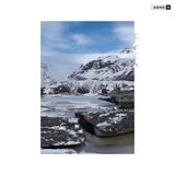 9 ADHD - 9 (LP)