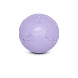 Coachi Boomi Ball Puppy & Mini | 15 cm | Ijs Paars