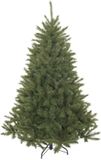 Triumph Tree Bristlecone Kunstkerstboom - H185 x Ø119 cm - Groen