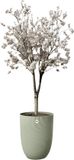 Elho Sereh Hoog 40 - Bloempot voor Binnen & Buiten - 100% Gerecycled Plastic - Ø 39 x H 53.4 cm - Scandinavisch groen