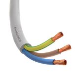 Amarcords - 3-aderige stroomkabel doorsnede 3 x 2,5 mm kleur wit. Ronde stroomkabel type H05VV-F, 50 meter