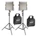 NEEWER Set van 2 tweekleurige 480 led-videolampen dimbaar en staande verlichtingsset