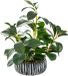 Unyqoos® Plante artificielle verte avec pot rustique