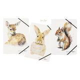 PAGNA 21654-25 Set rubberen mappen A4 Save me No.4 gesorteerd 3 stuks