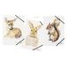 PAGNA 21654-25 Set rubberen mappen A4 Save me No.4 gesorteerd 3 stuks