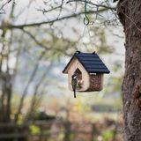 CJ Wildlife Pinda voederhuis Princeton - Zwart/Bruin - Hout - Vogelvoederplek