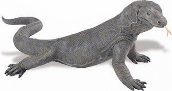 Safari Speeldier Komodovaraan Hagedis Junior 28 Cm Grijs