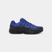 Nike P-6000 PRM Hyper Royal Dark Smoke Grey Hyper Blue Unisex Volwassenen Schoenmaat 40.5 Grijs
