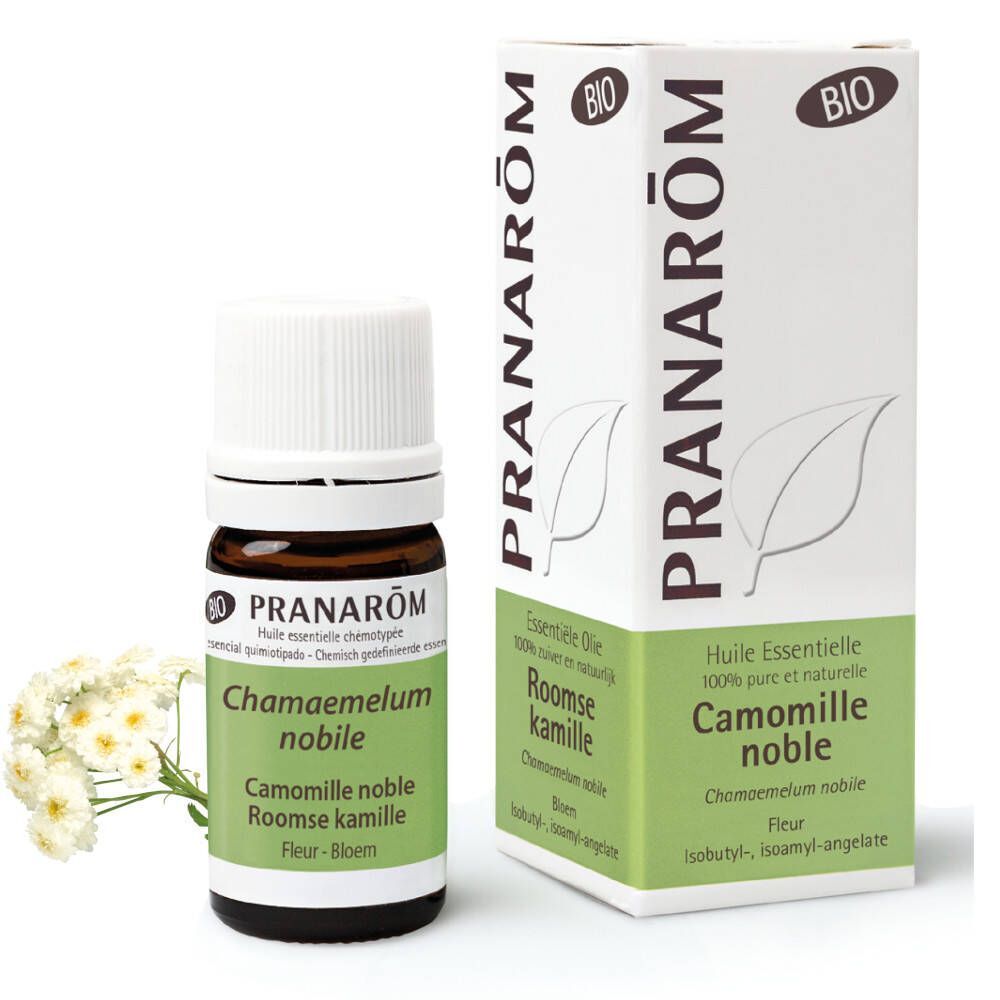 Pranarôm Pranarôm Essentiële Olie Roomse Kamille Bio 5 ml