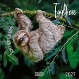 Faultier Korsch Faultier 2027