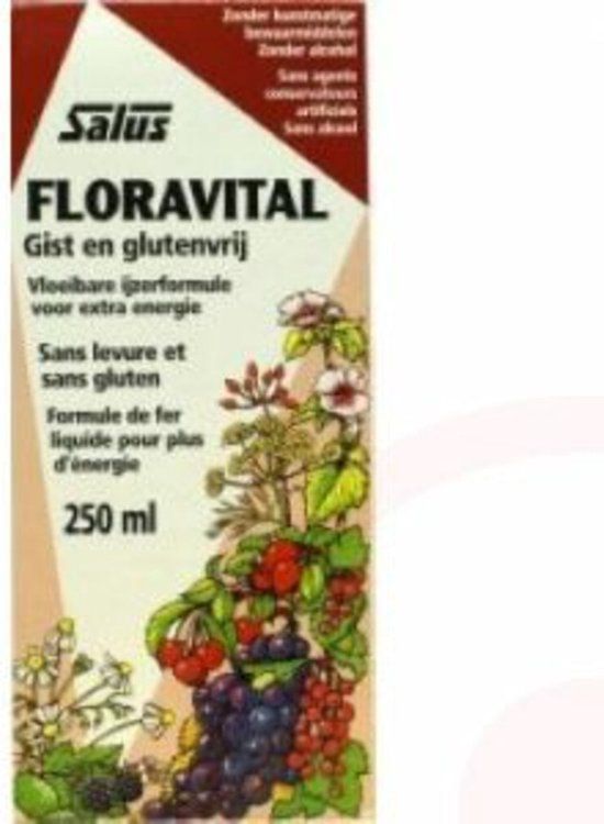 Salus Floradix Floravital - Vegan ijzer-elixir met groente vruchten - 250ml