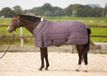 Harrys Horse HH Highliner Snow 200gr Staldeken Roze Maat L