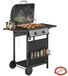 StarTech Gasgrill voor buiten - Gasbarbecue met 2 branders - 5 kW vermogen - Geïntegreerde thermometer - Metalen behuizing - Zwart