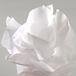 Canson zijdepapier rol, 0,5 x 5,0 m, 20 g/m², beige