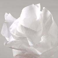 Canson zijdepapier rol, 0,5 x 5,0 m, 20 g/m², beige