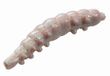 Berkley Naturel Bait Worm (Glitter!) - Foreldeeg - Wit