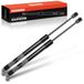 2x Frankberg 2x gasveer achterklep voor 5-serie E39 sedan 1996-2003 51248222913