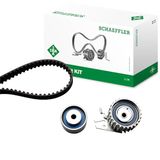 INA 530 0229 10 tandriemen