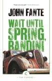 Wait Canongate Canons Wait Until Spring, Bandini Paperback