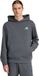 adidas MERCEDES - AMG PETRONAS FORMULA ONE TEAM PREMIUM SWEAT HOODIE