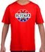 Bellatio Decorations Shoppartners Bv Have fear Croatia is here t-shirt met sterren embleem in de kleuren van de Kroatische vlag - rood - kids - Kroatie supporter / Kroatisch elftal fan shirt / EK / WK / kleding 110/116