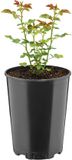 GARRONDA Ronde kunststof bloempot met drainagegaten voor tuin (Zwart, Ø16 x 20,5 cm (3L))