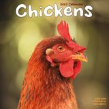 Avonside Kippen Kalender 2027 Wandkalender Dieren Humor België Nederland