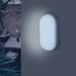 Silumen 20W ovale LED wandlamp IP65 (set van 5)